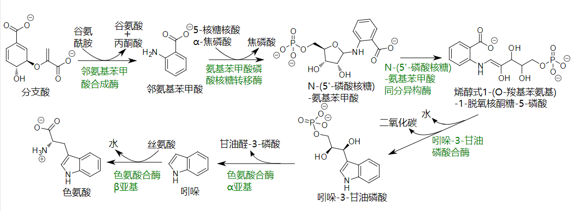 香精与香料(12)-琥珀香,动物香,辛香,豆香(包括粉香)