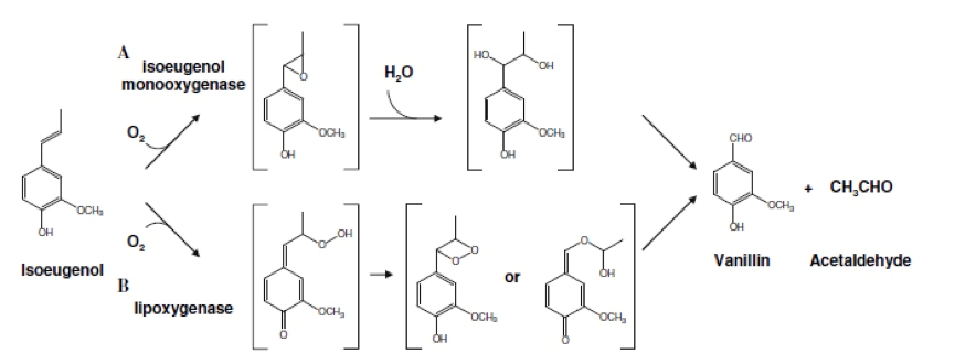 香精与香料(12)-琥珀香,动物香,辛香,豆香(包括粉香)