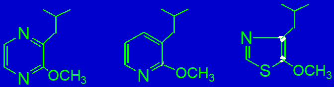 香精与香料(15)