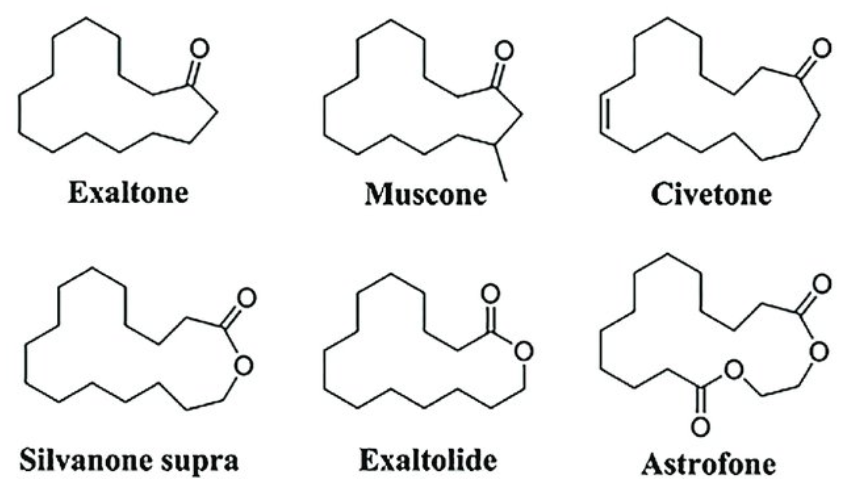 香精与香料(17)-香型与分子结构特征的关系