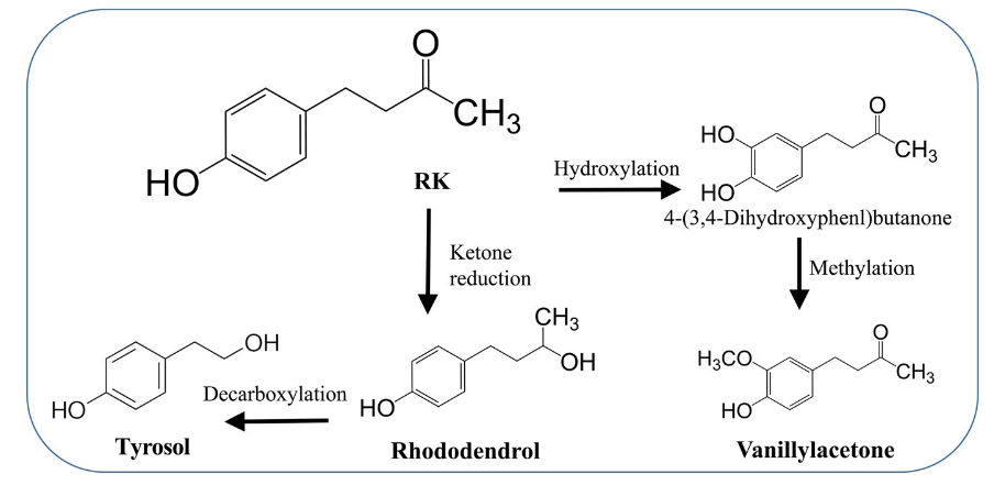 香精与香料(71)—覆盆子酮(Raspberry ketone)