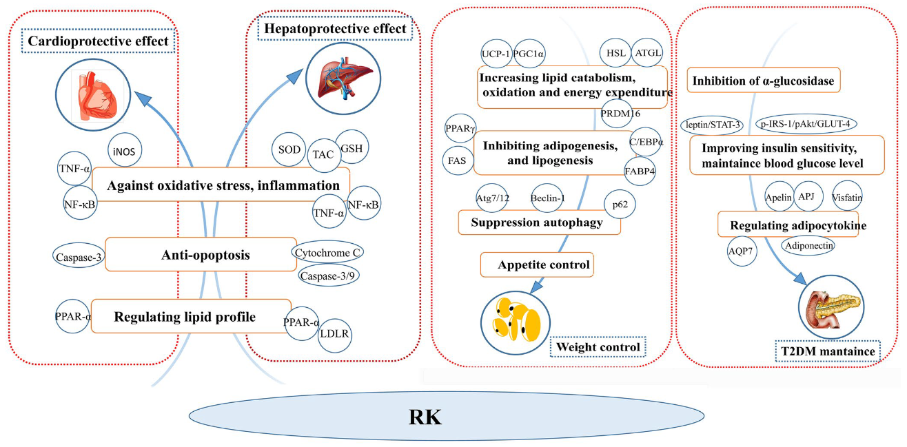 香精与香料(71)—覆盆子酮(Raspberry ketone)
