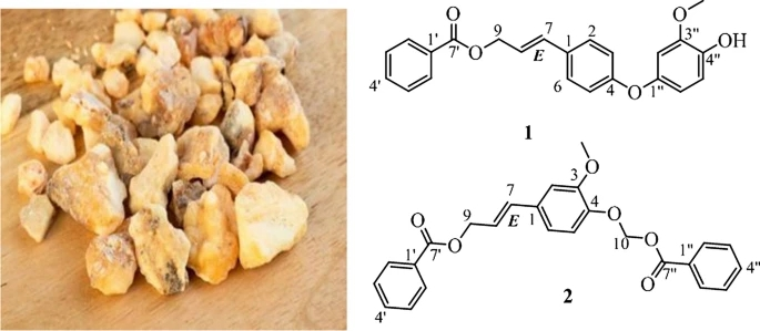 香精与香料(81)—安息香