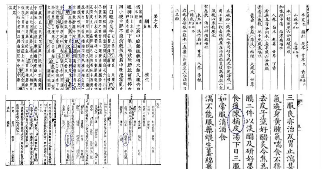 香精与香料(89)—陈皮