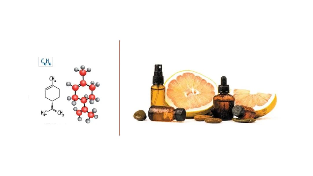 香精与香料(91)—香橼