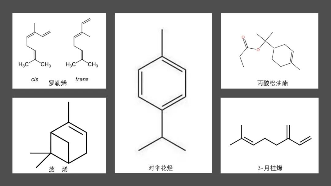 香精与香料(91)—香橼