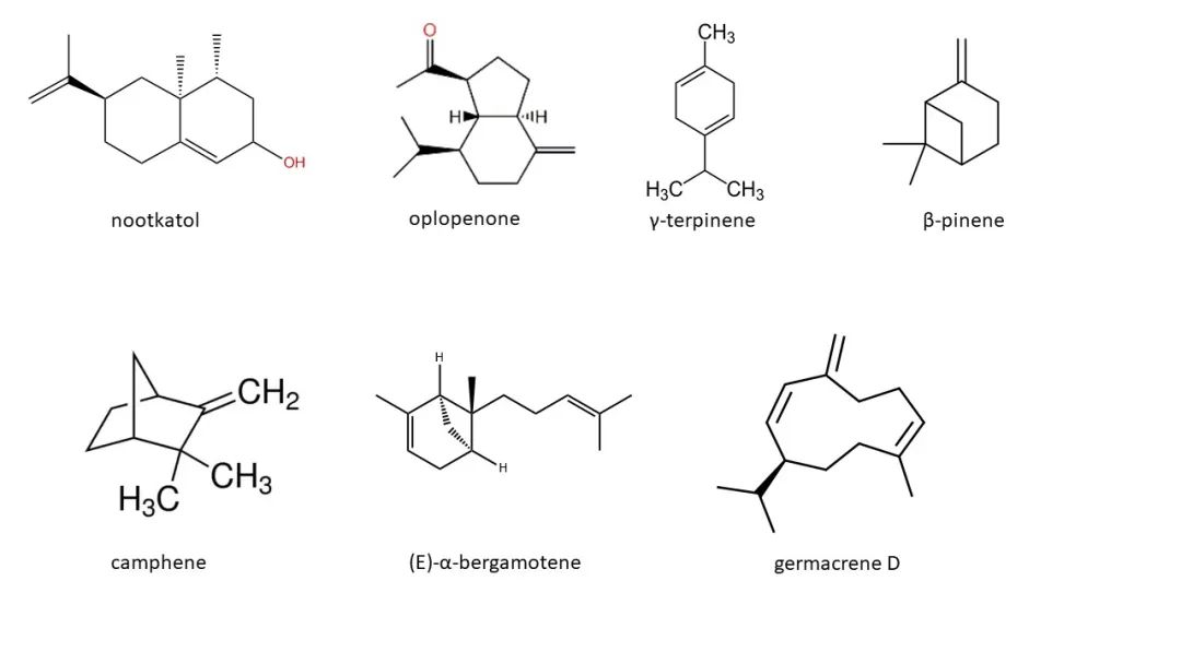 香精与香料(91)—香橼