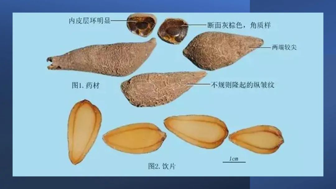 香精与香料(97)—郁金