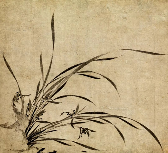 香精与香料(99)—佩兰(Eupatorium fortunei )