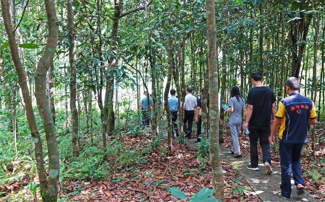 广西香料香精：谋篇布局创“双千”