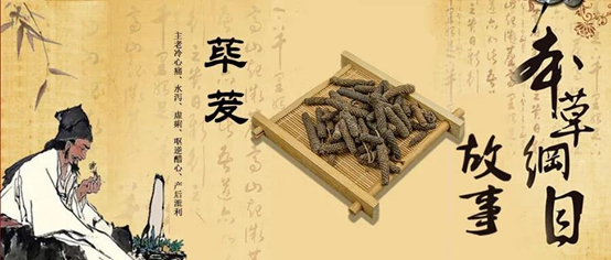 香精与香料(102)-荜茇