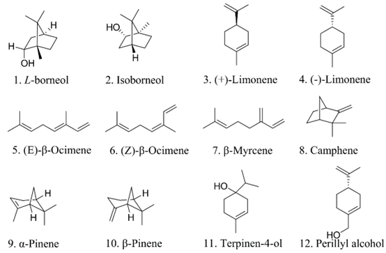 香精与香料(108)—艾纳香