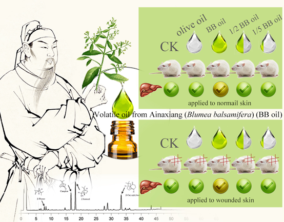 香精与香料(108)—艾纳香