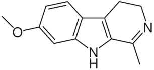 香精与香料(109)—骆驼蓬
