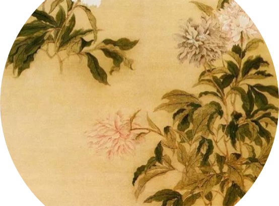 香精与香料(119)—芍药