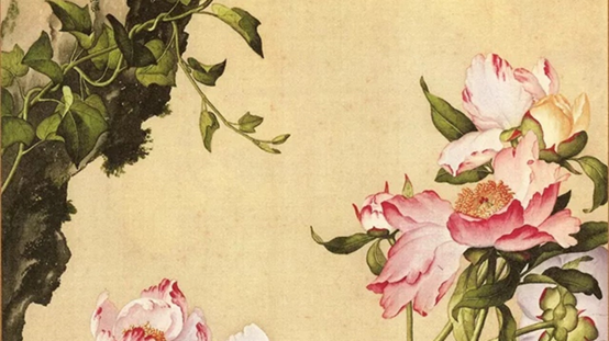 香精与香料(119)—芍药