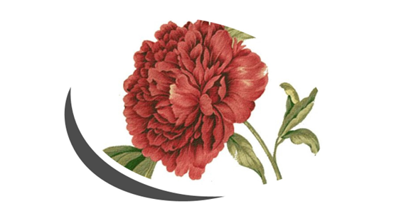 香精与香料(119)—芍药