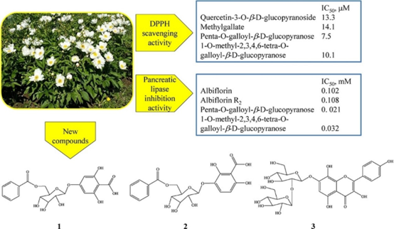 香精与香料(119)—芍药