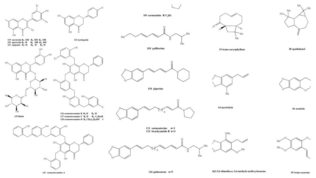 香精与香料(121)—山蒌