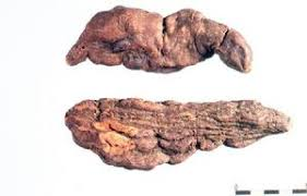 香精与香料(123)—薜荔