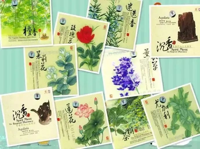 芳香疗法，一个起源于5000年前的神秘学科