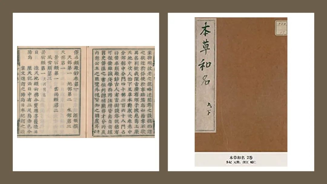 香精与香料(147)—芥末