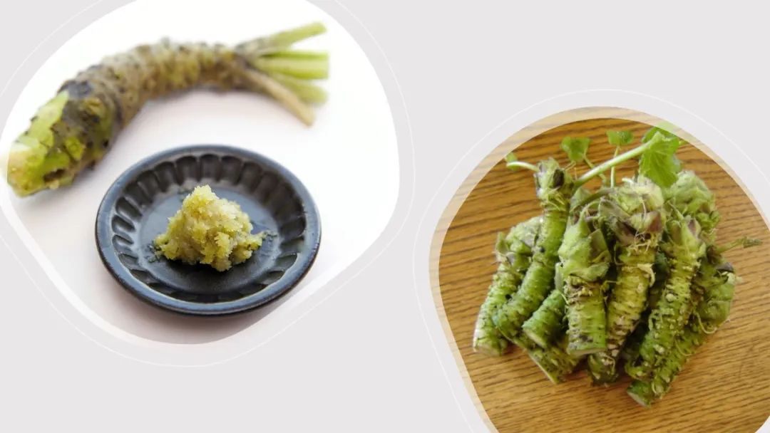 香精与香料(148)—山葵