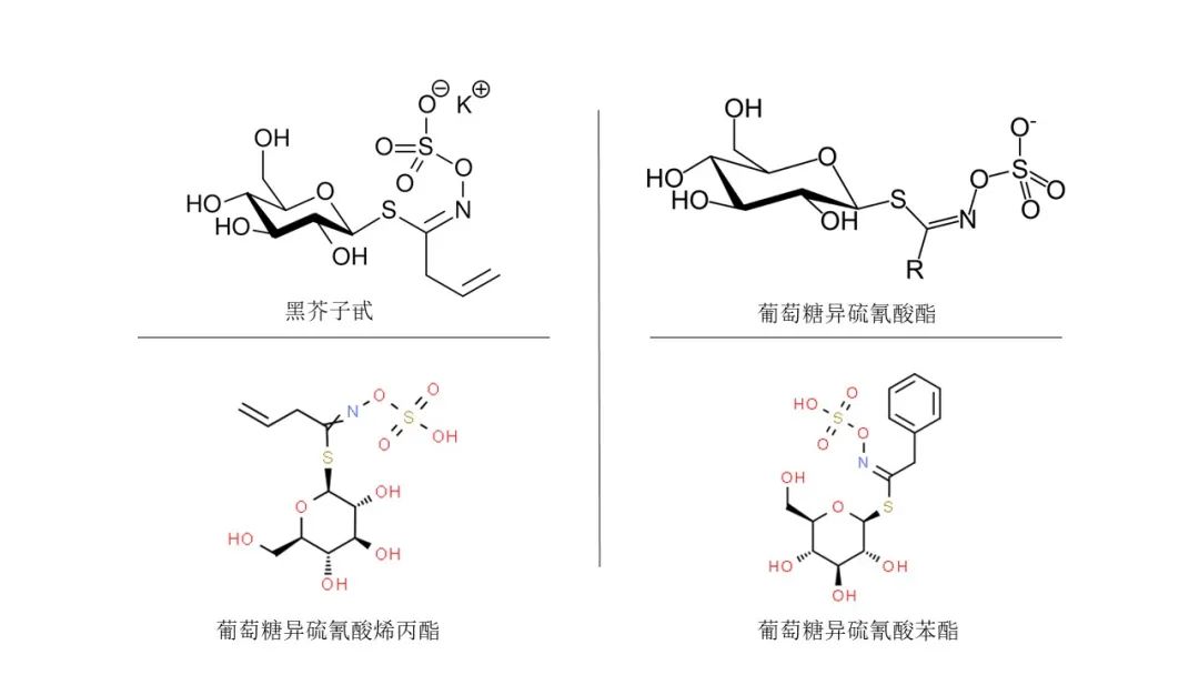 香精与香料(149)—辣根