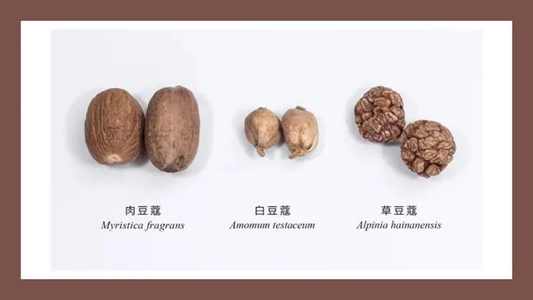 香精与香料(152)—豆蔻