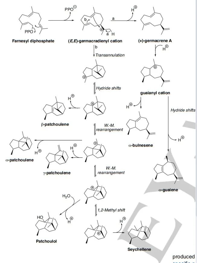 生物合成香料的化学组成、可持续性和天然性