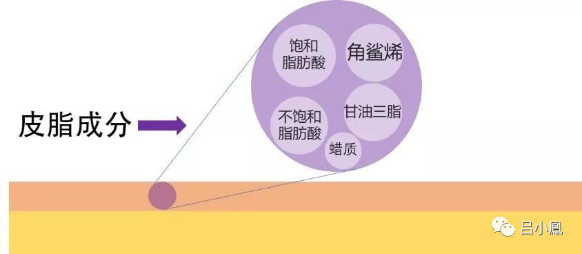 2022年护肤热门功效成分有哪些？