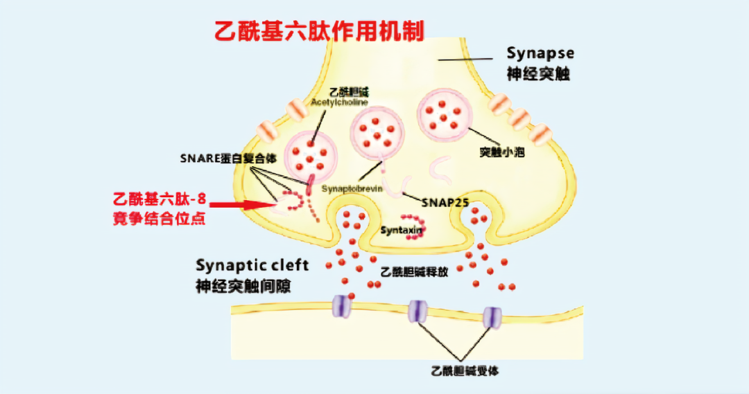 2022年护肤热门功效成分有哪些？