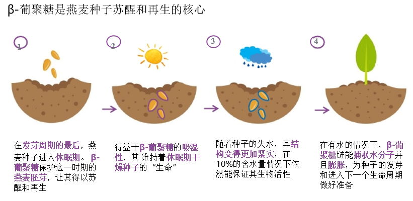 2022年护肤热门功效成分有哪些？