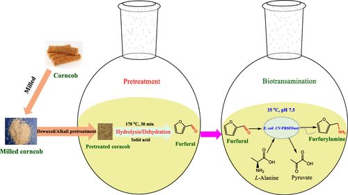 农业废物作为微生物香精生产基质的潜力研究